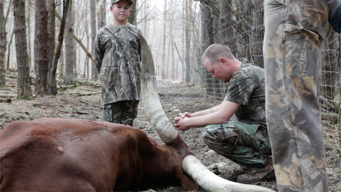 Something Other Than Its Own Mass